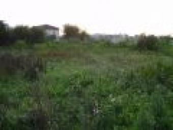 CB029 LAND OF THE YEAR! Pleven