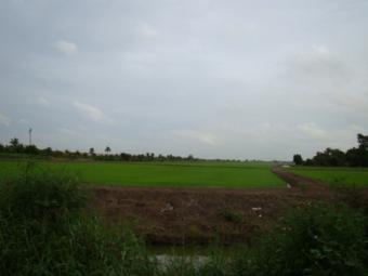 Land for sale, Rangsit Khlong 7 Pathum Thani