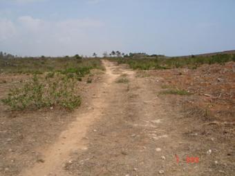 BEACH PLOT 52 ACRES Bofa,kilifi,mombasa