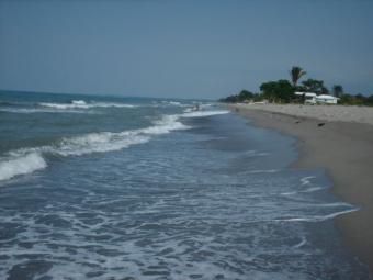 Beach Property For Sale La Ceiba