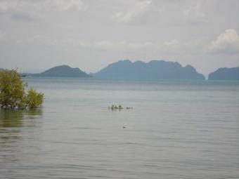 200m Beach Front Land Ko Lanta Yai