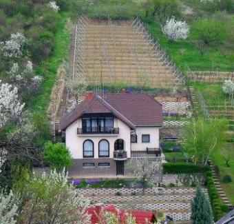 Two-level house in nice area P�cs