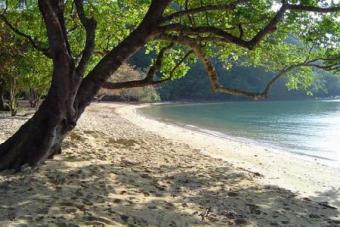 Mai Khao Beach Land for Sell Phuket