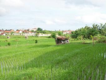 Fantastic land in Seminyak Bali