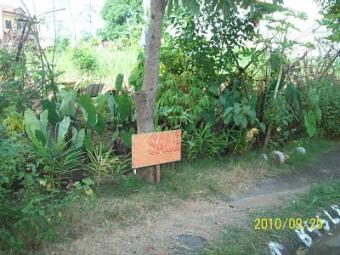 Lot for sale 80 sq meters Cavite