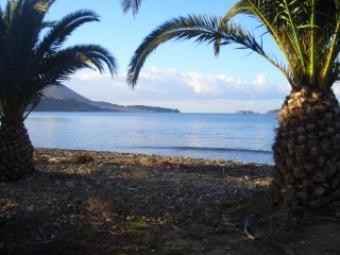 Plot at the harbour Pylos South Peloponnes