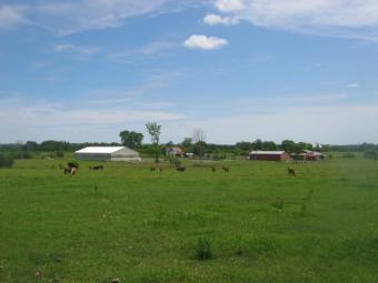 plot for sale in limbe for sale Limbe