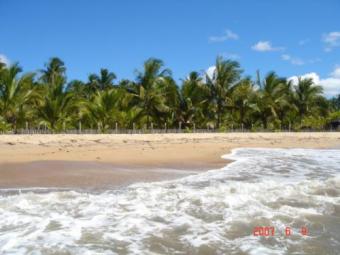 A Garden in Bahia Porto Seguro