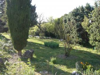 the front garden Mont&eacute;limar