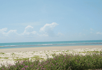 Hotel and Leisure Site Ceara