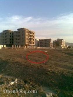 land 4 sale in Dead sea Dead Sea
