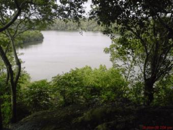 Land for sale at Hikkaduwa Town Hikkduwa