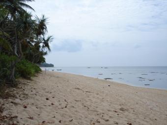 280m West Coast Beachfront Ko Lanta Yai