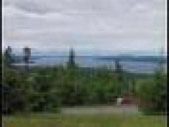 PLOT FOR SALE //badshahi estate Gulshan E Mehran Karachi