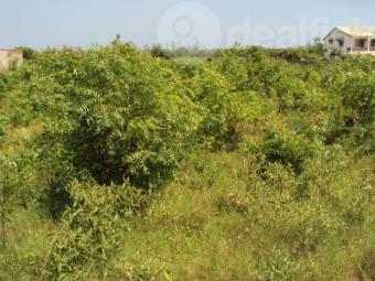 6 acres Prime Plot Shanzu-Mtwapa Mtwapa Coast