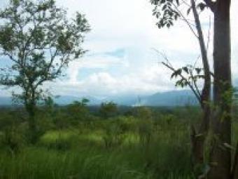RESIDENTIAL LOT - PALAWAN Puerto Princesa City