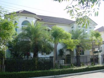New House Bangkok