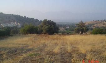 Property in Crete Heraklion