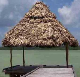 Belize Real Estate for Sale Progresso