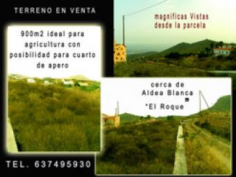 TENERIFE land whit small house San Miguel