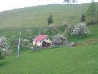 propertie with house Bran_pestera
