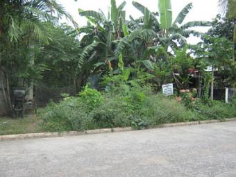 RESIDENTIAL LOT  AT CENTRAL PARK Davao