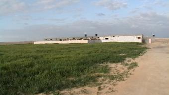 Owns a farm of 1 to 10 acres 400 Cairo