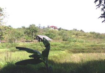 AFFORDABLE LOT FOR SALE Puerto Princesa City