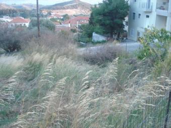 PLOT 315m2 IN NAFPAKTOS Nafpaktos