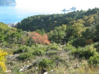 Land in Petrovac for sale Petrovac Na Moru