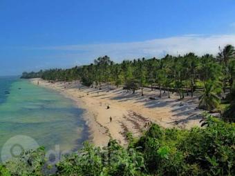 Five 1/4 acre plots Shanzu
