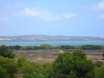 lovely apartment close golf Torrevieja