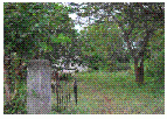 Land For Sale Rekawa Tangalle Tangalle