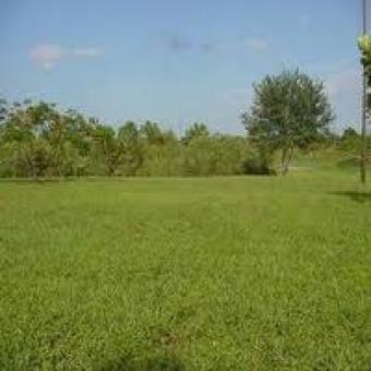 Commercial Land For Sale Madurai