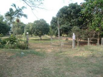 Land for sale next the pingriver Mae Rim
