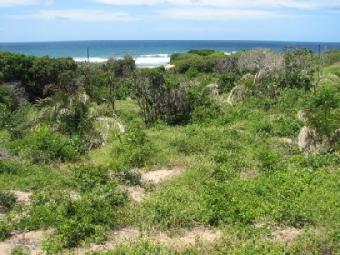 Xai Xai Property for Sale Xai-xai