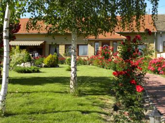 house for sale in Hungary Tiszak�cske