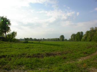 50 Acres of Land at a give-away Ogun