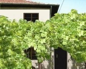 Two-storey  villa-Targovishte Popovo  Targovishte
