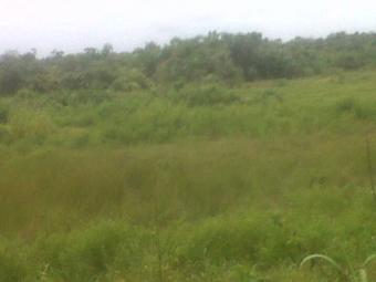 10 acres of land facing express Lagos