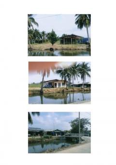 land with 2 houses for sale Nakhon Pathom