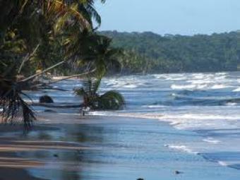 Mayaro Beach Front. 5 Acres San Fernando