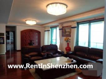 10min to COCO PARK,230sqm 5BR 20 Shenzhen