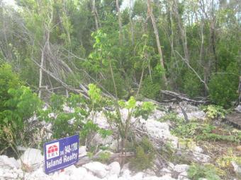 Affordable inland bluff lot Cayman Brac