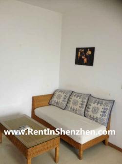 Shenzhen Futian top apartment/Ga Shenzhen