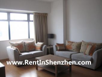 Luohu CBD,MIXC Shopping Mall,2br Shenzhen