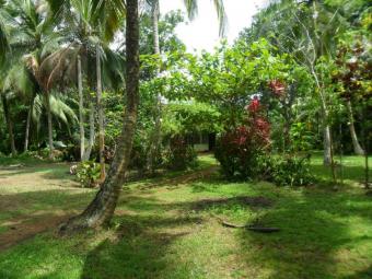 4 acre Coconut Land for SALE Bope North,galle