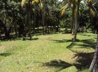 Land sale in Negombo kattuwa Kattuwa  Negombo