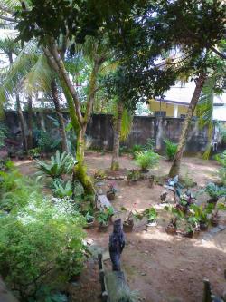 14.5 P LAND AT KIRIBATHGODA Kelaniya