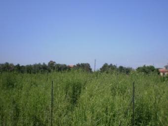 PLOT 350m2 IN HILIADOU Nafpaktos
